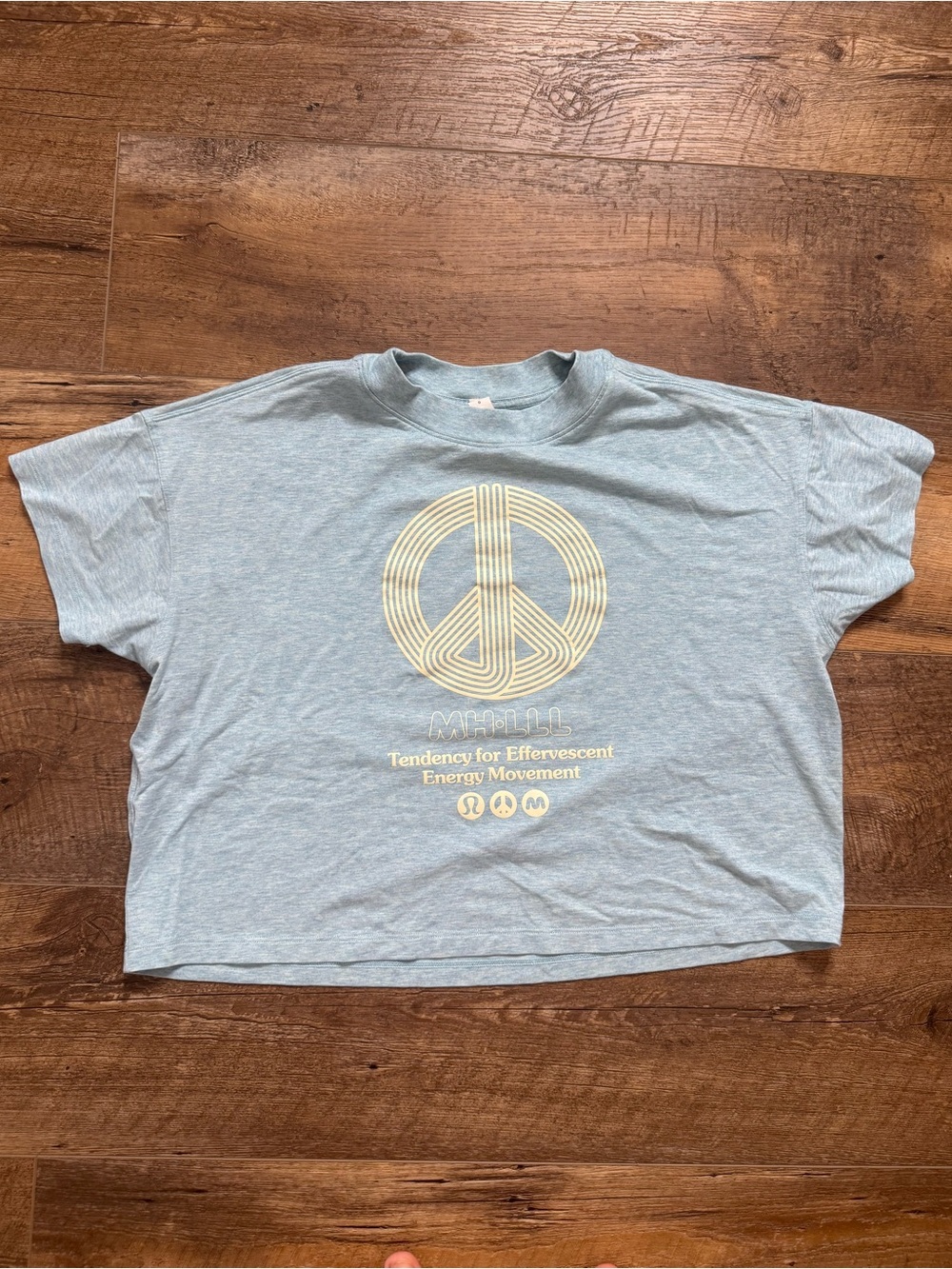 Lululemon x Madhappy Cates T-Shirt in the color Heathered Cirrus Blue, Size 6